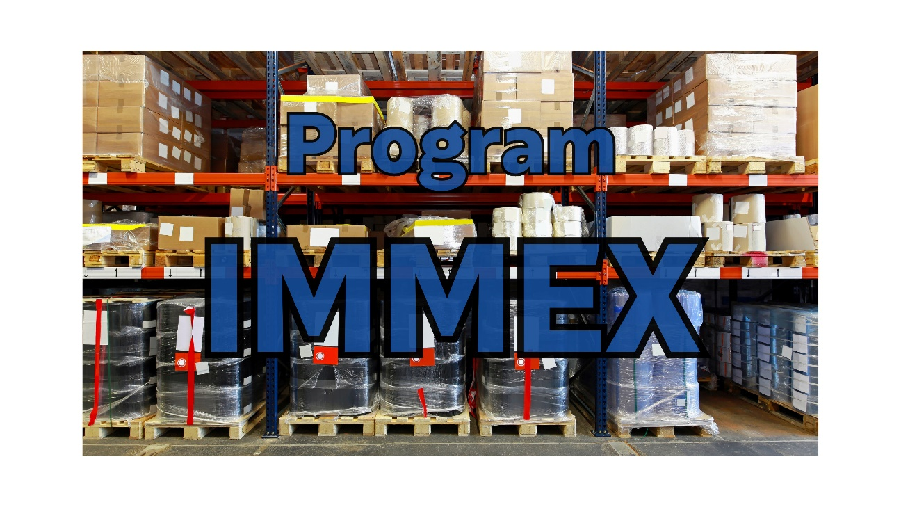 IMMEX_1_ING IMMEX_1_ING