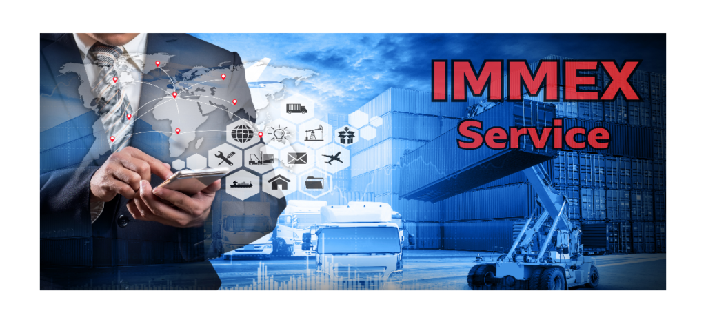 IMMEX_3_ING IMMEX_3_ING